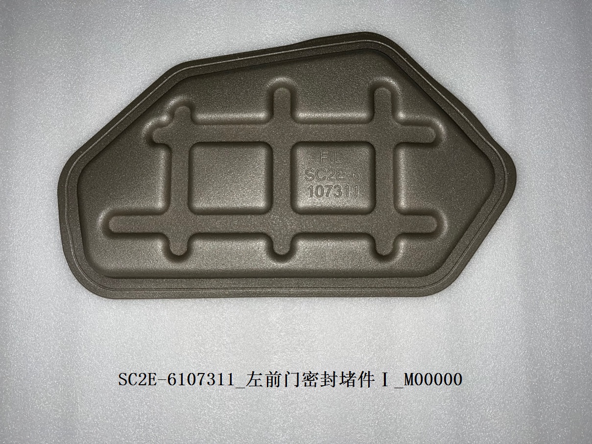 Left front door seal plug I