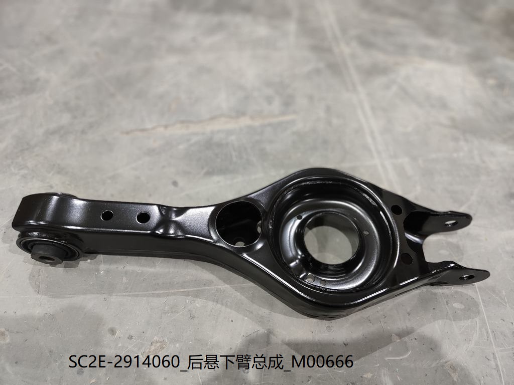 Rear Suspension Lower Arm Assembly