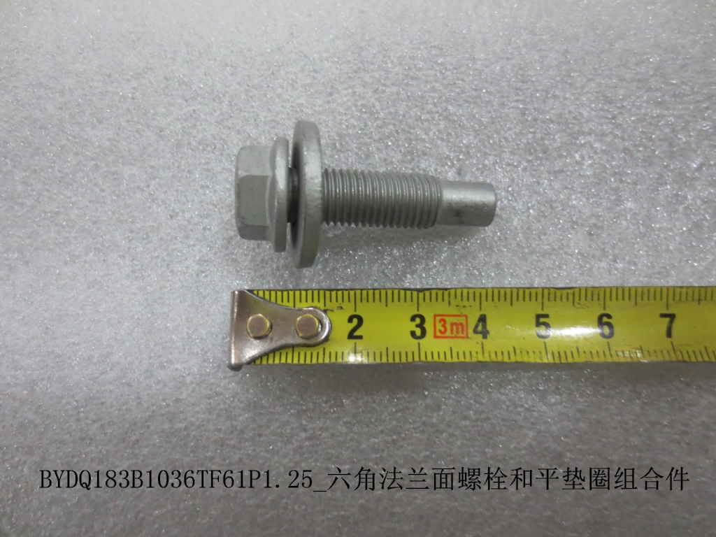 BYDQ183B1036TF61P1.25 Hex Flange Bolt and Plain Washer Assembly