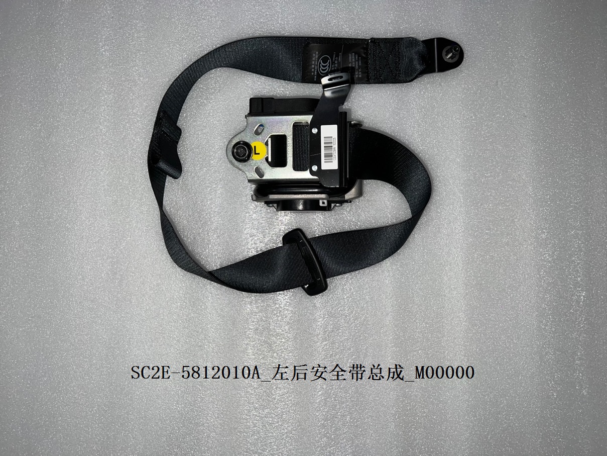 Left Rear Seat Belt Assembly