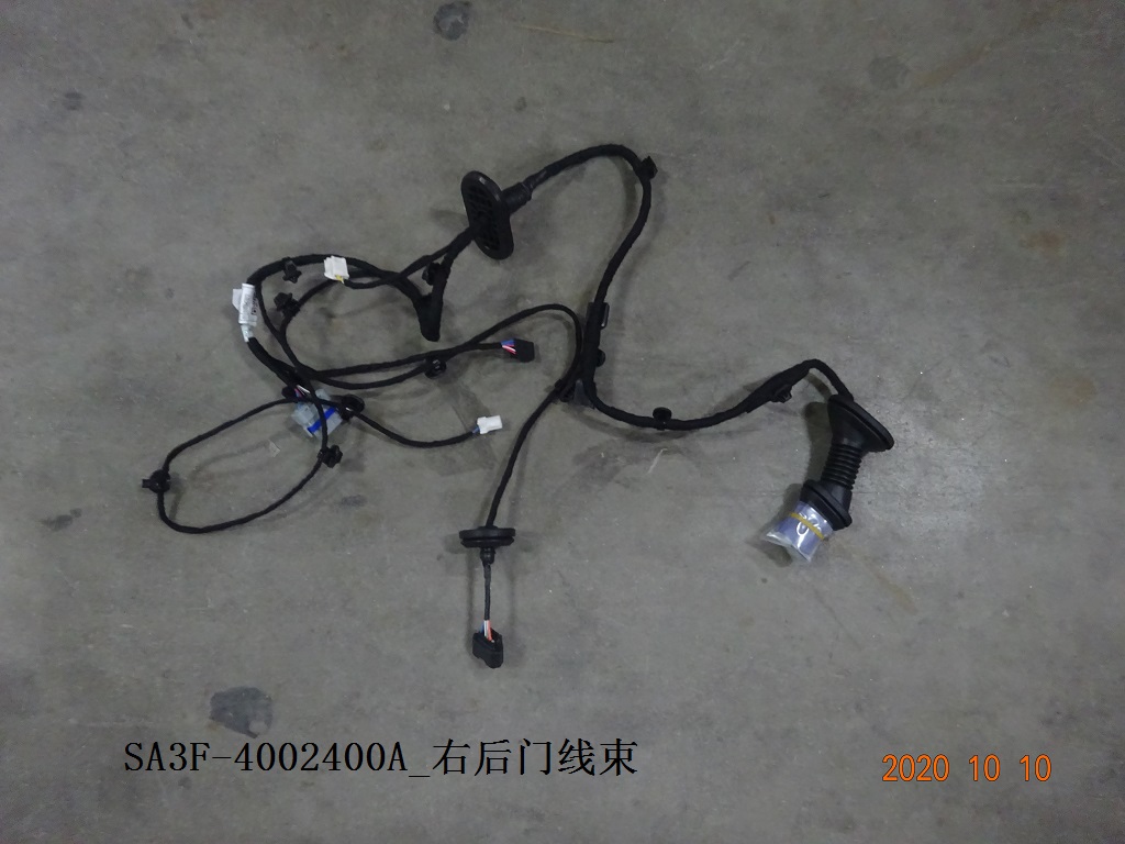 Right rear door wiring harness