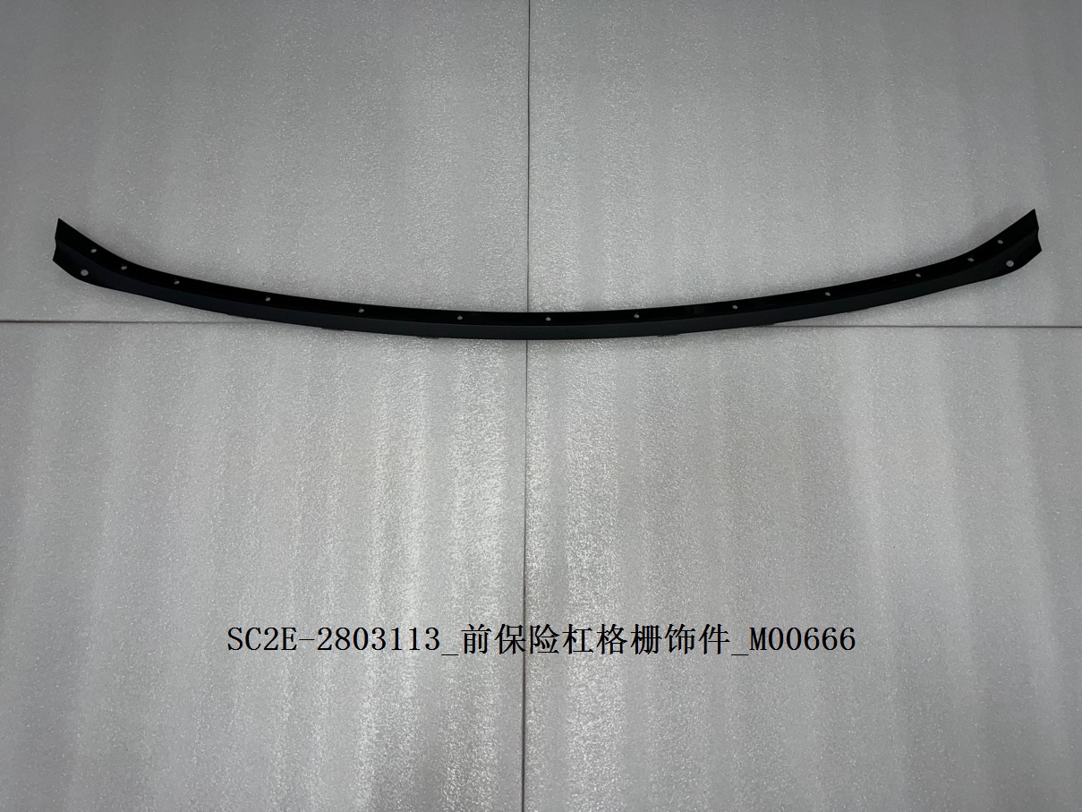 Front Bumper Grille Trim