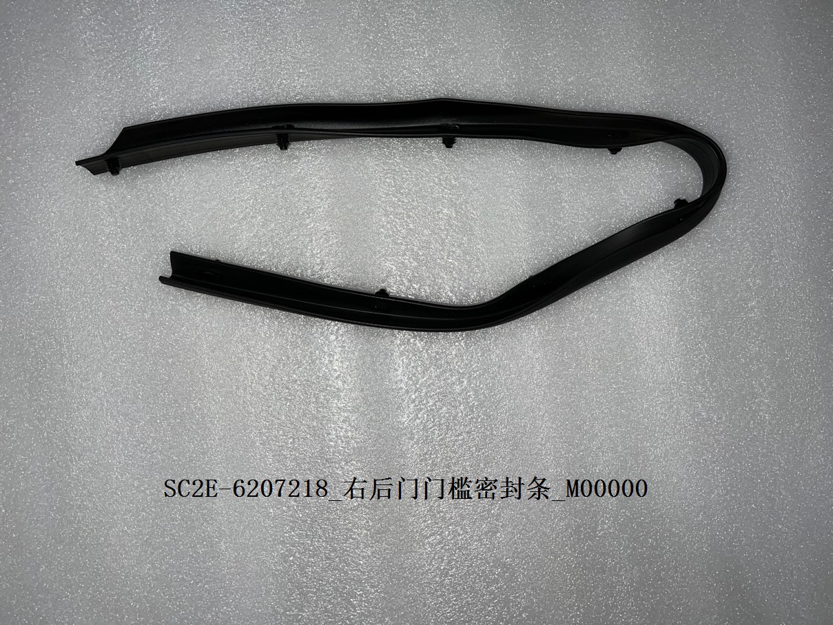 Right Rear Door Sill Seal Strip