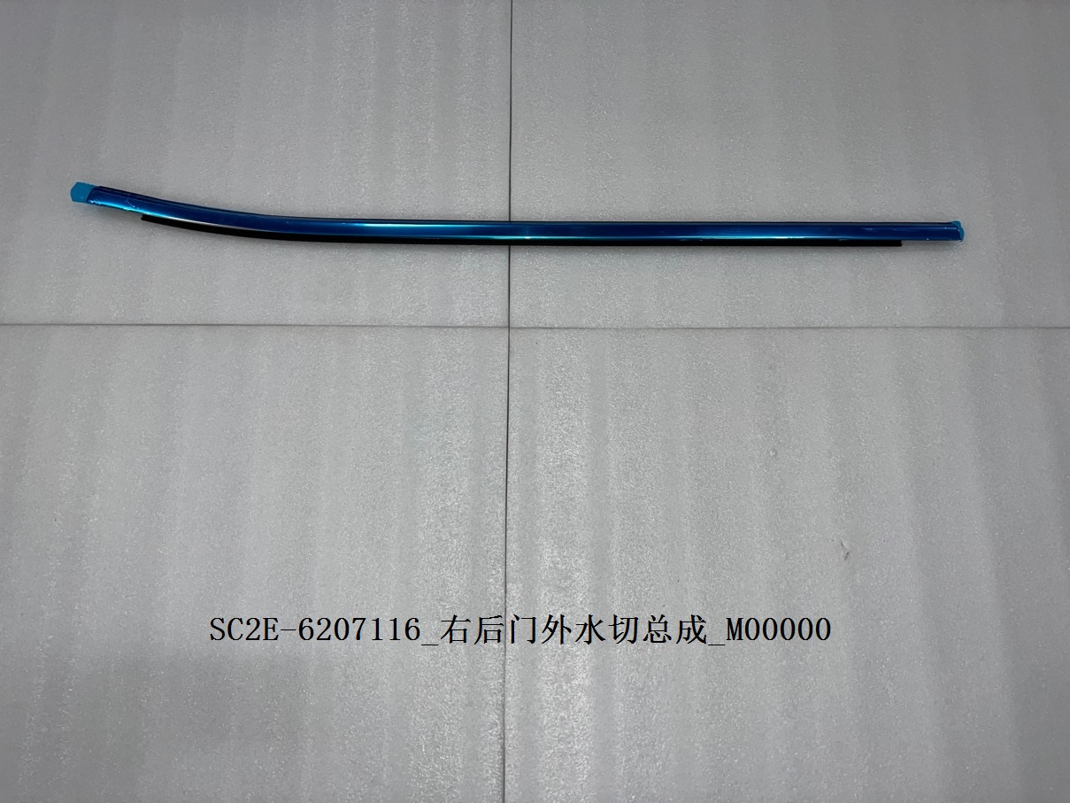 Right Rear Door Outer Belt Weatherstrip Assembly