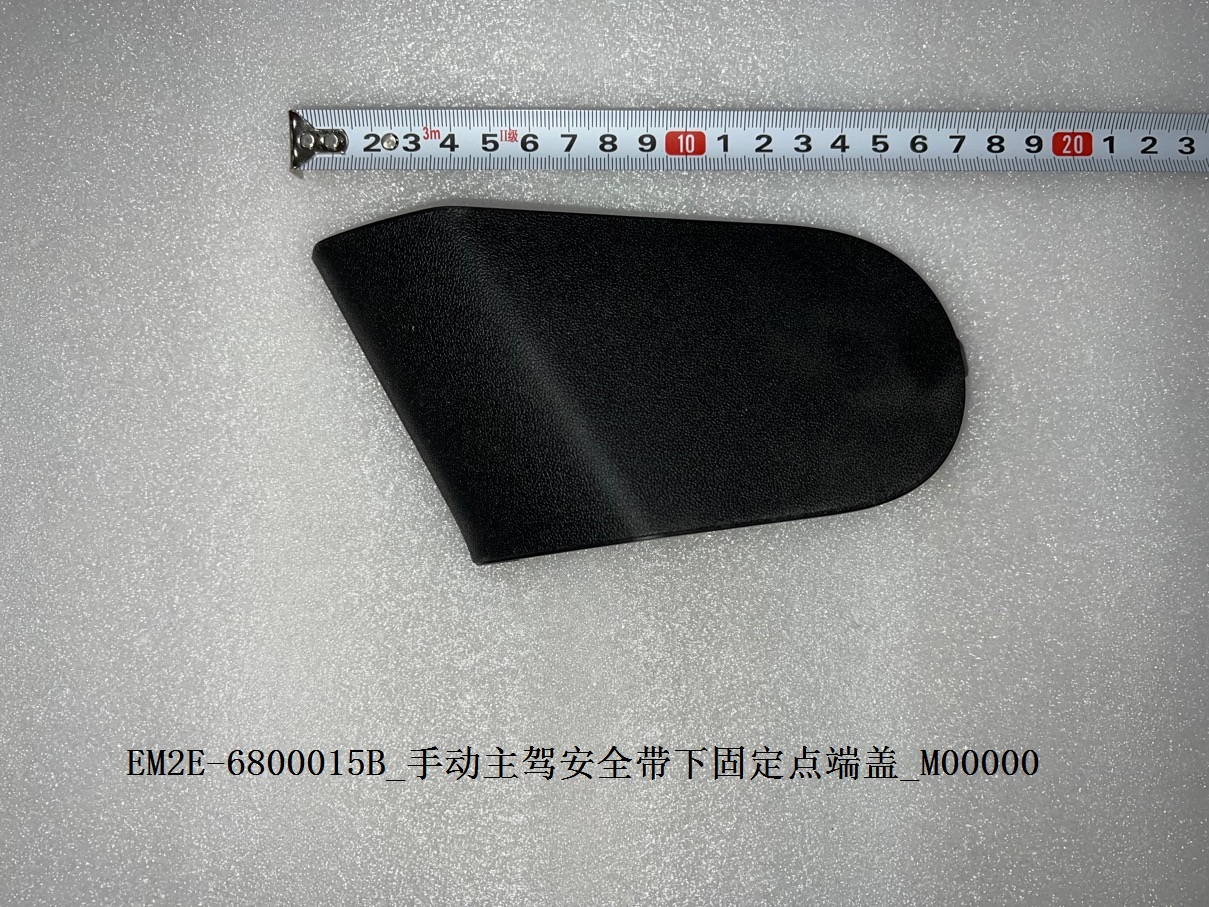 Driver Seat Belt Lower Anchor Point End Cap