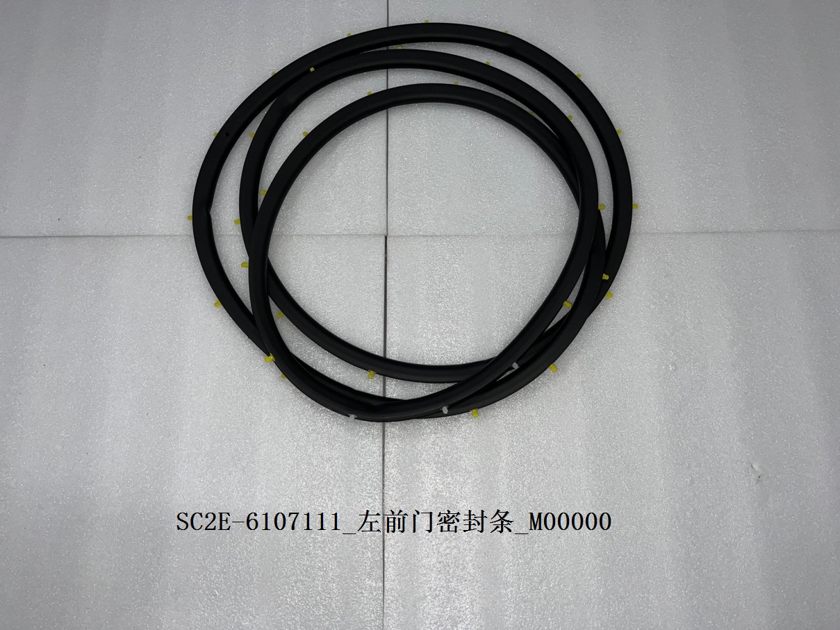 Left front door weatherstrip