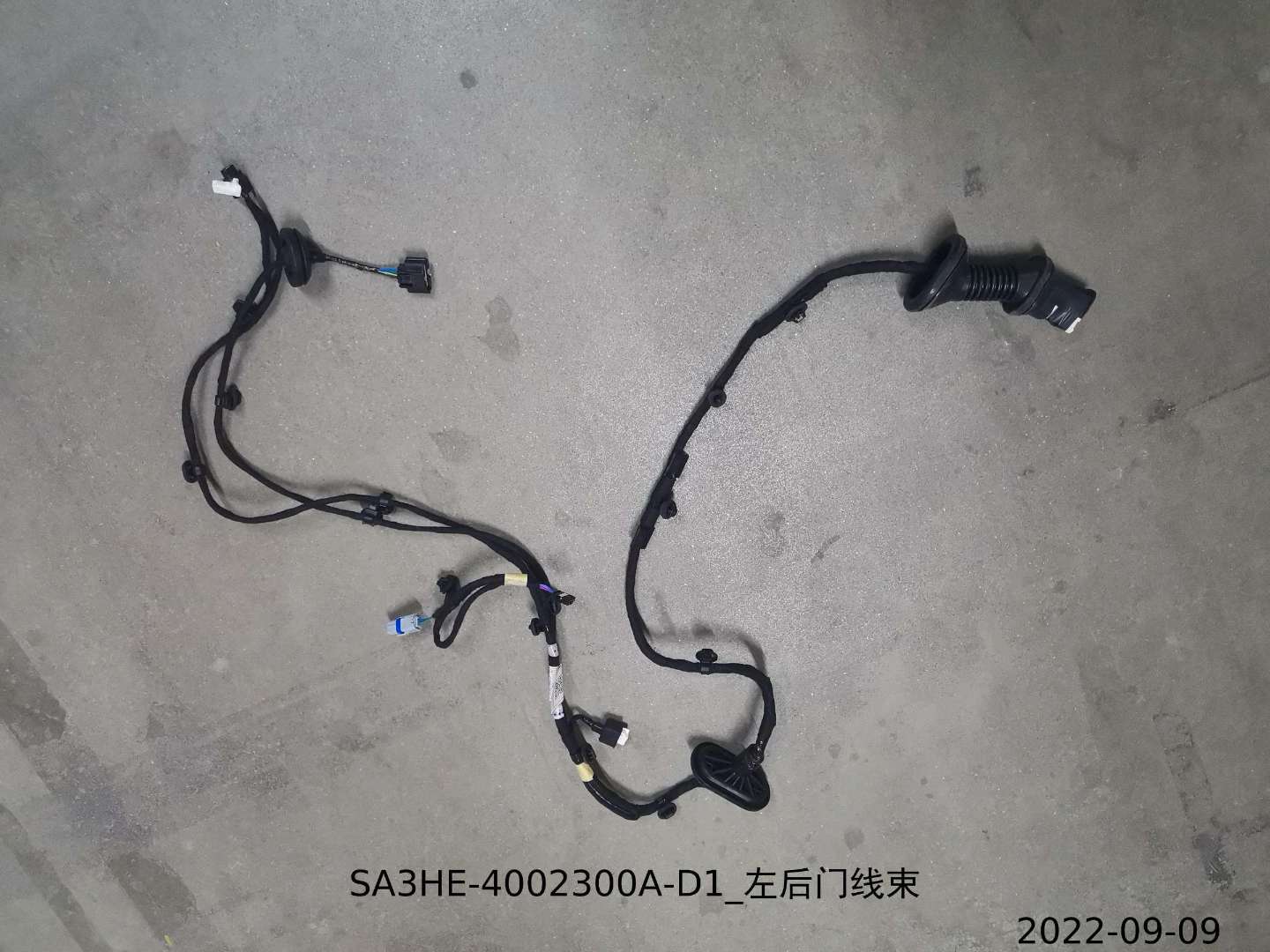 Left Rear Door Wiring Harness