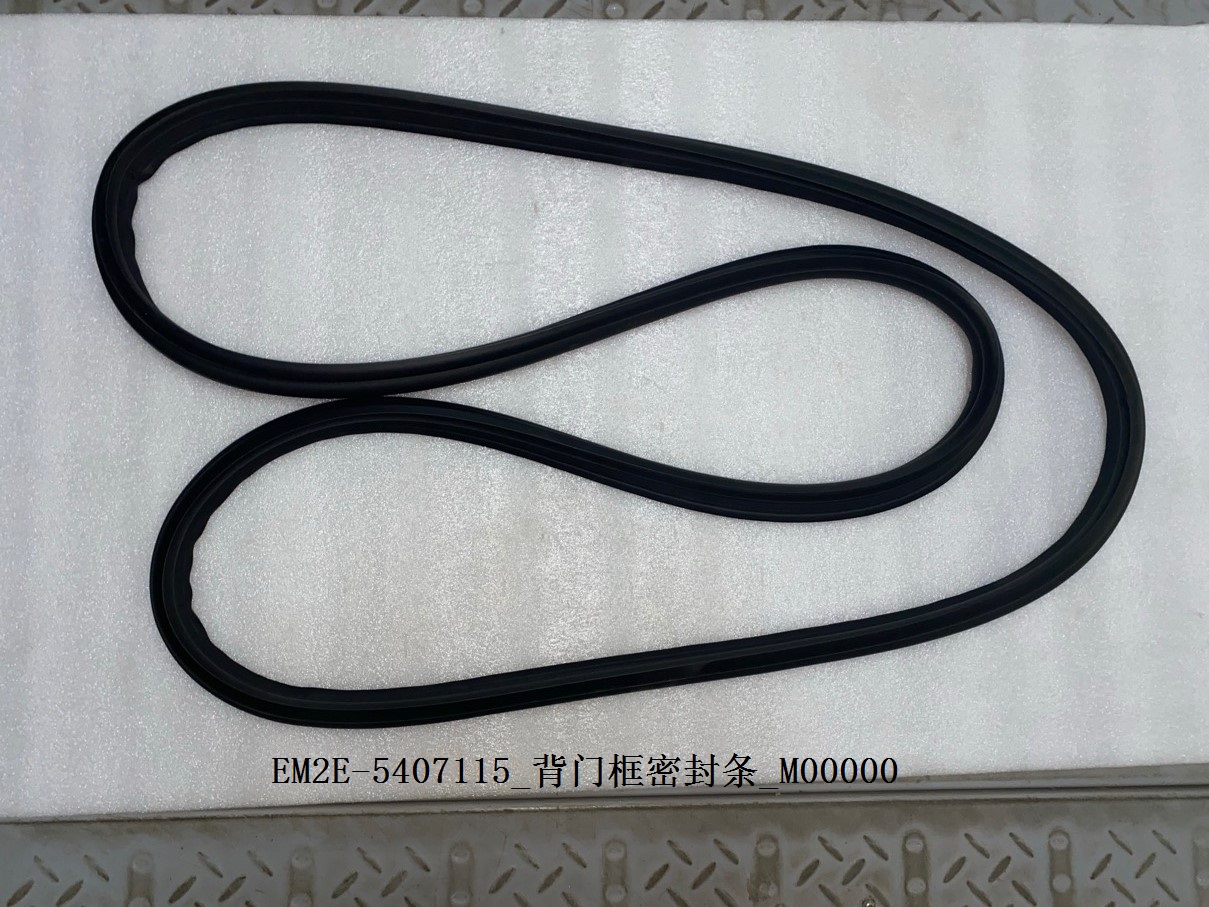 Tailgate frame weatherstrip