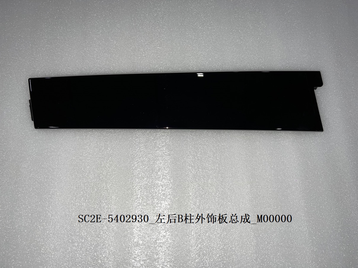 Rear Left B-Pillar Exterior Trim Panel Assembly