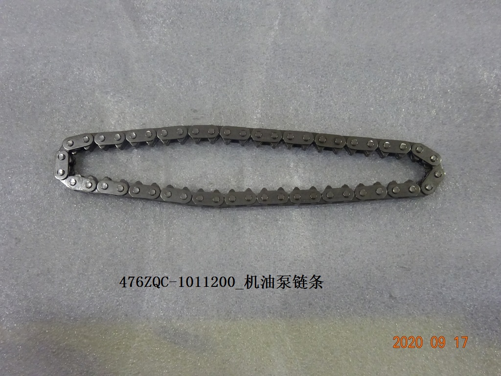 Oil Pump Chain