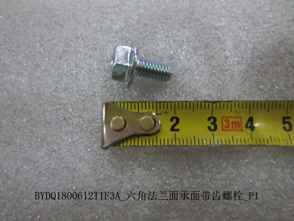 BYDQ1800612T1F3A Hex Flange Bearing-Face Serrated Bolt_P1