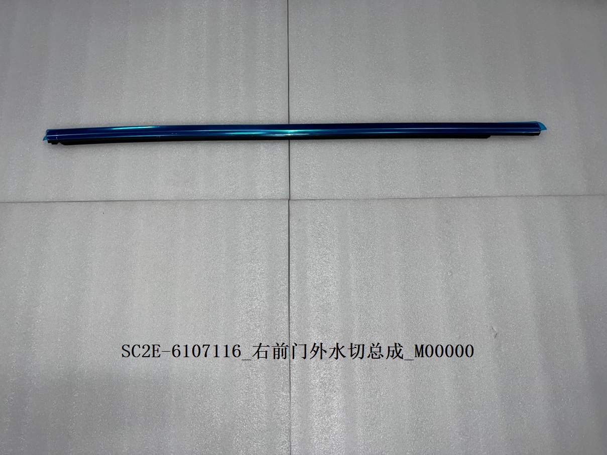 Right front door outer weatherstrip assembly