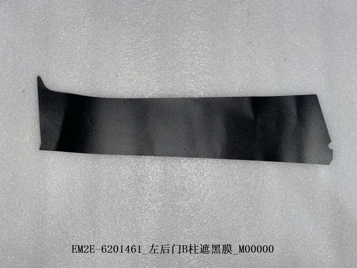 Left Rear Door B-Pillar Black-Out Film