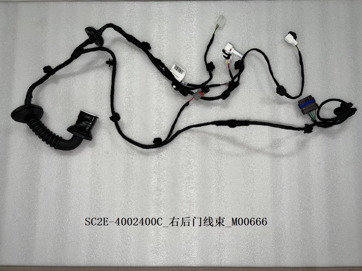 Right rear door wiring harness