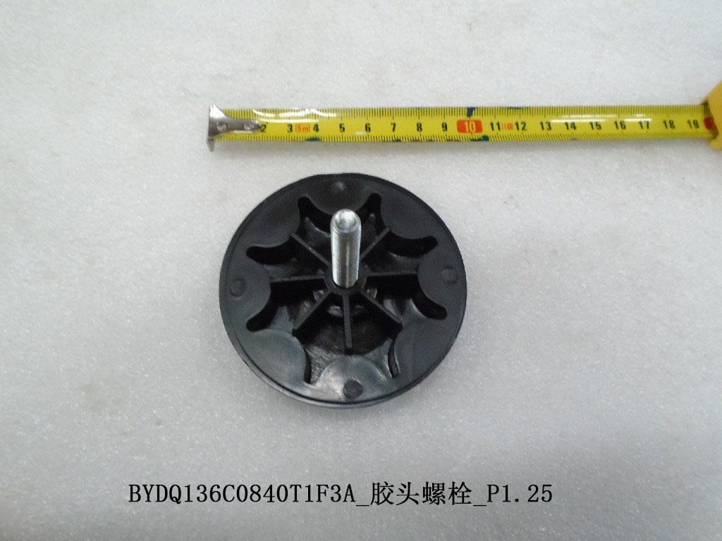 BYDQ136C0840T1F3A_Adhesive Head Bolt_P1.25