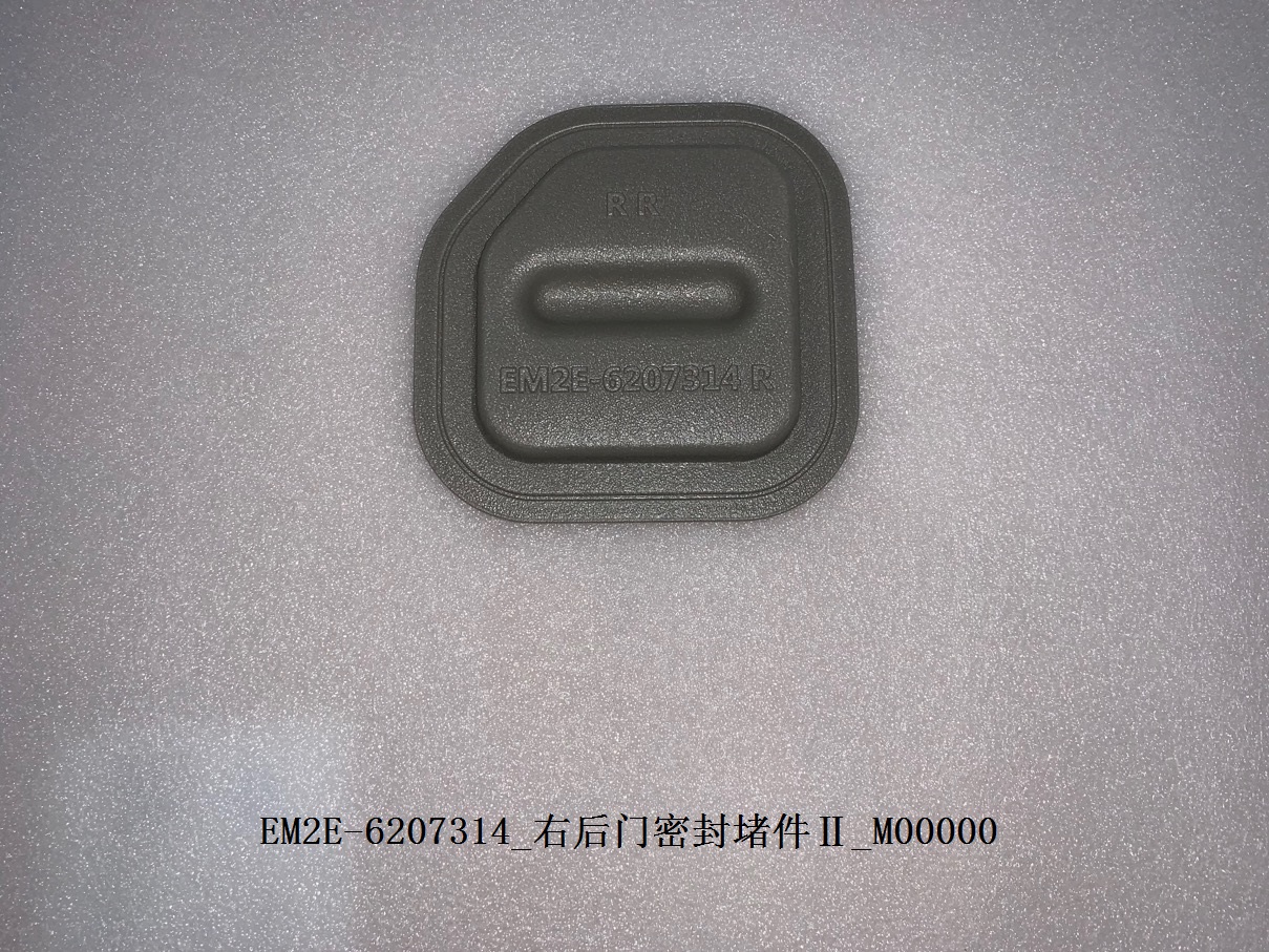 Right Rear Door Seal Plug II