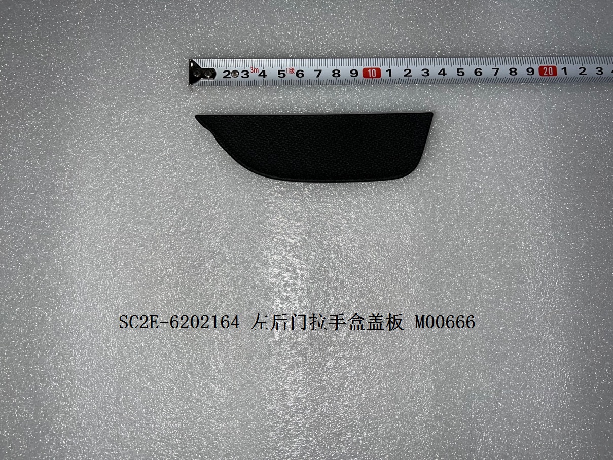 Left rear door handle box cover plate