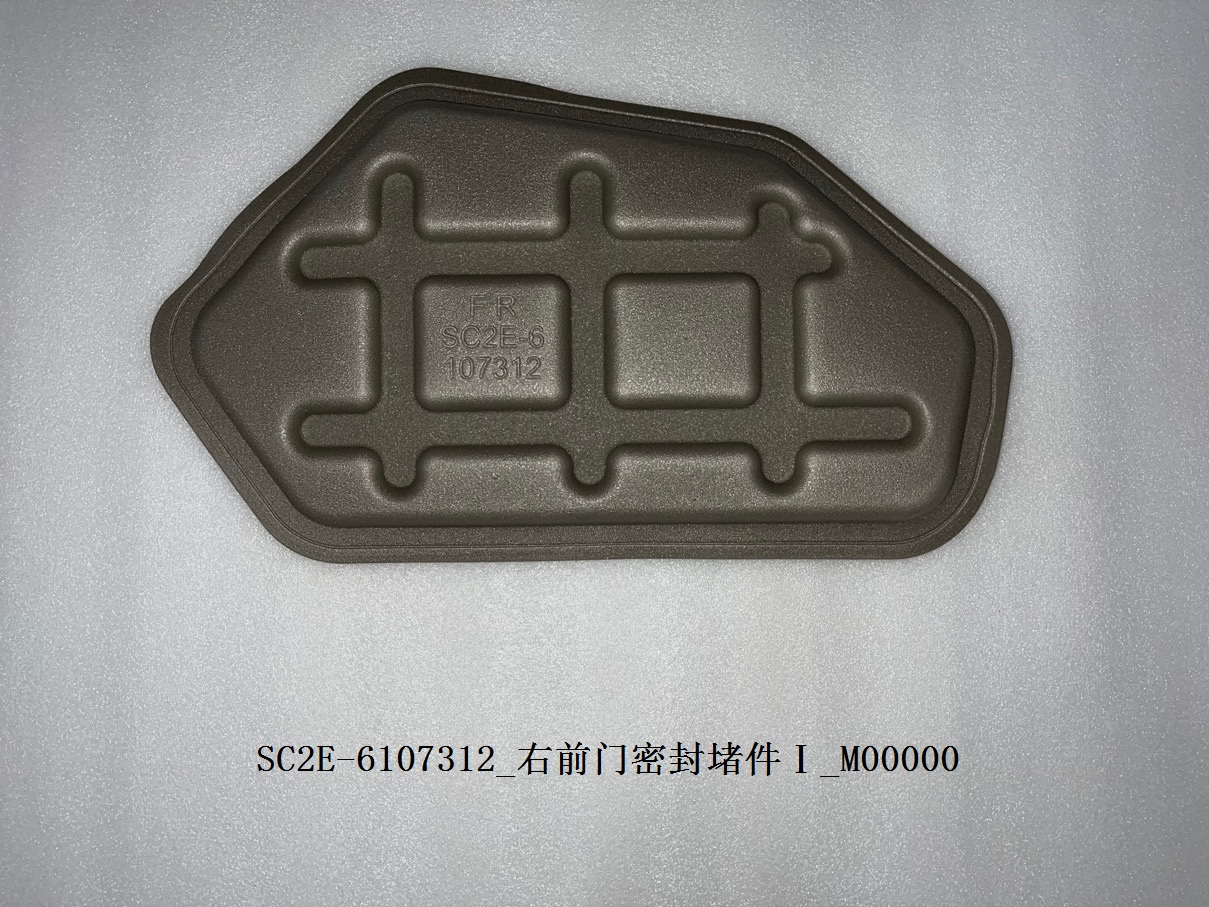 Right front door sealing plug Ⅰ