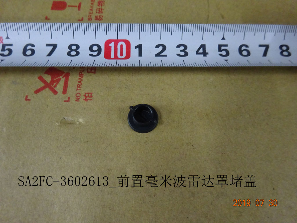 Front Millimeter-Wave Radar Cover Blanking Cap
