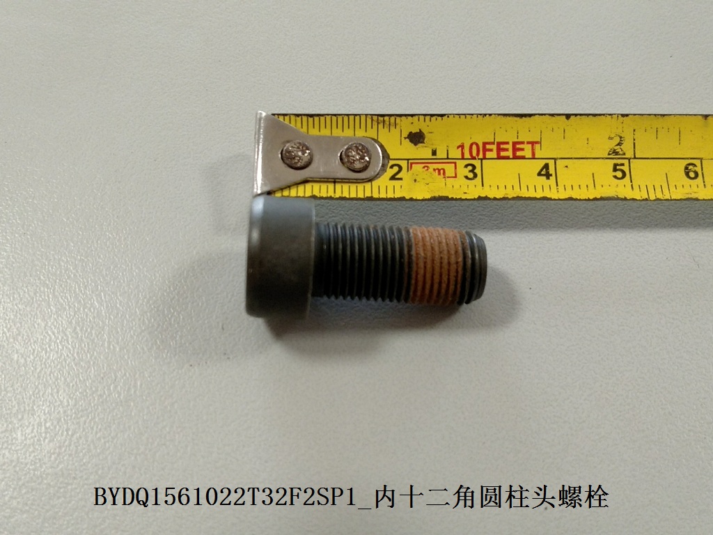 BYDQ1561022T32F2SP1_Twelve-Point Cylindrical Head Bolt