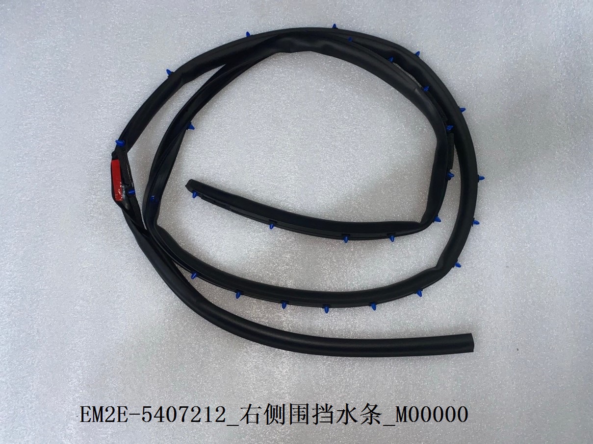 Right Bodyside Water Deflector Strip