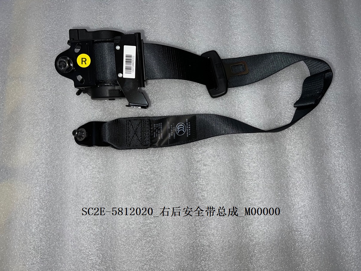 Rear Right Seat Belt Assembly