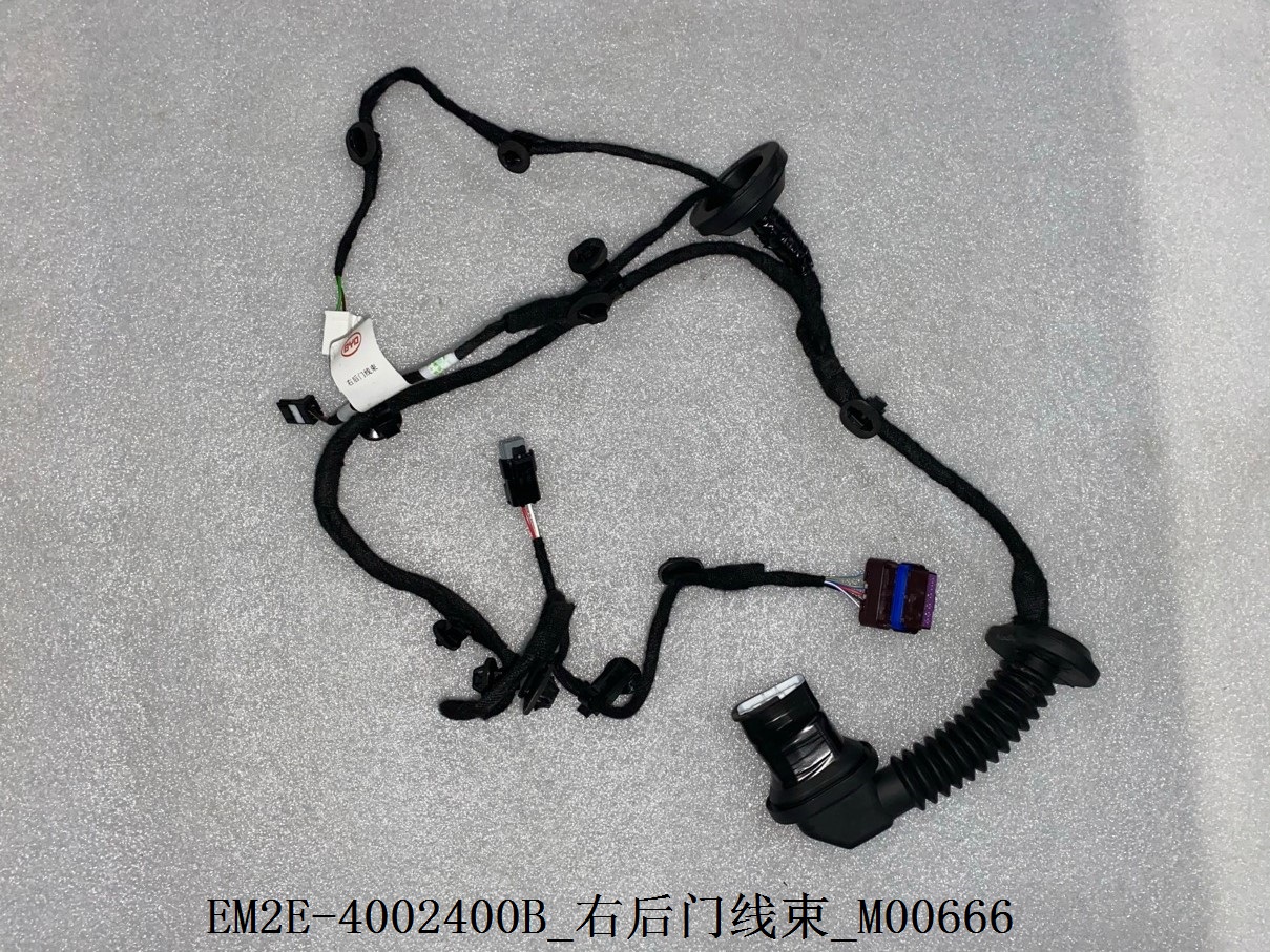 Right rear door wiring harness