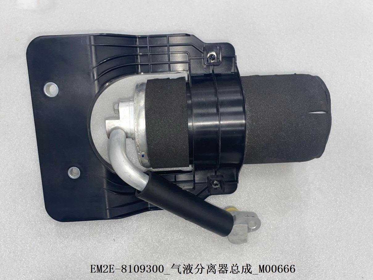 Gas-Liquid Separator Assembly