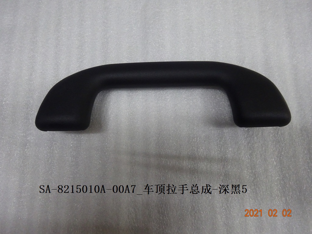 Roof Grab Handle Assembly - Deep Black 5
