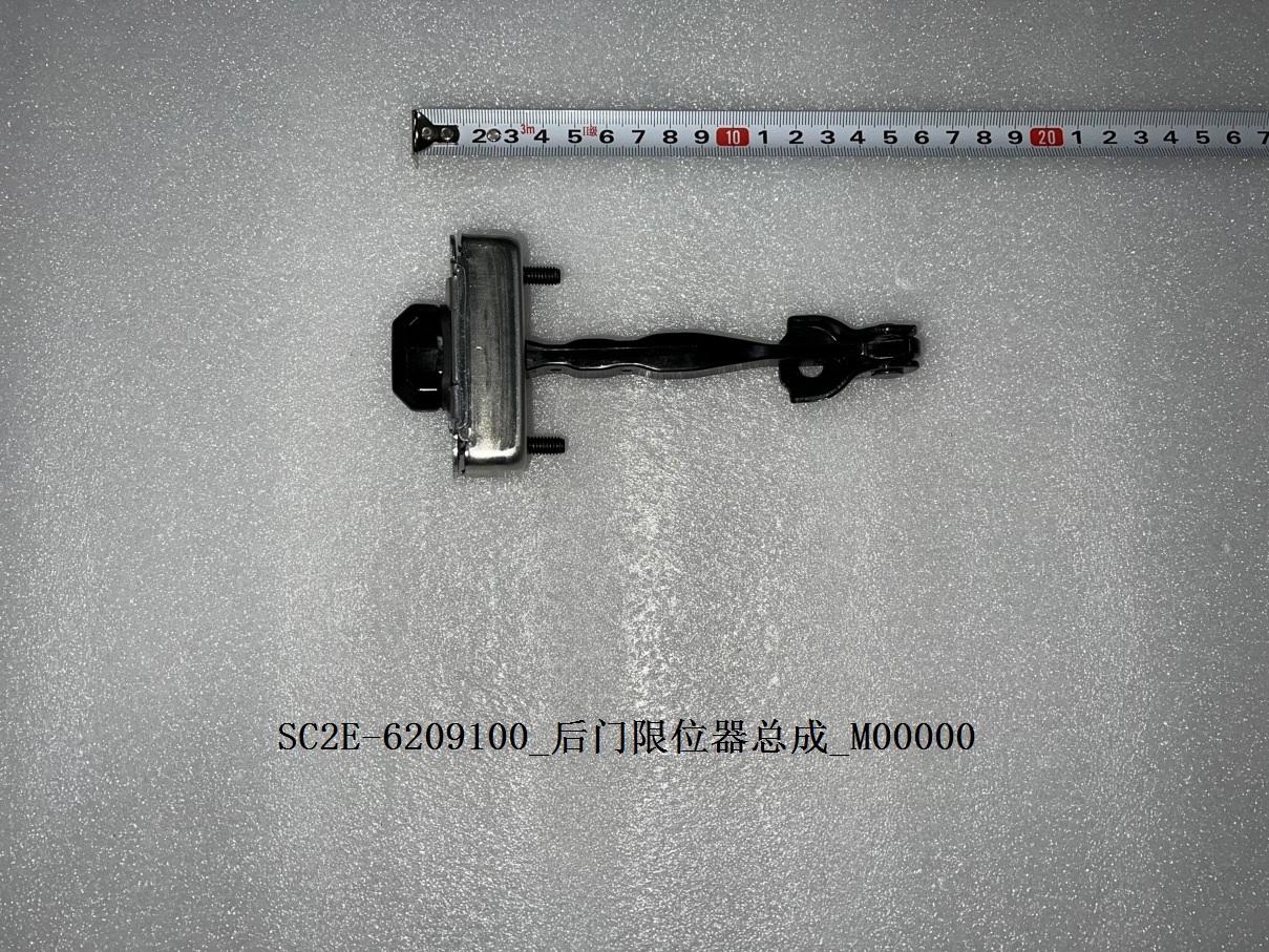 Rear Door Check/Limiter Assembly