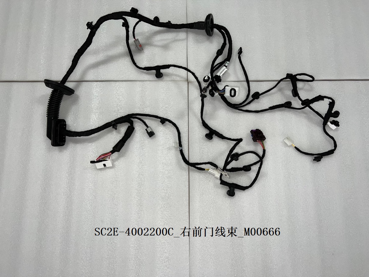 Right Front Door Wiring Harness