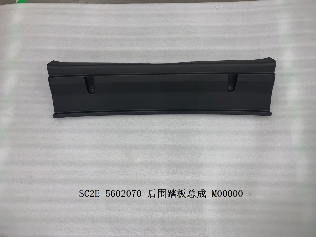 Rear Panel Step Plate Assembly