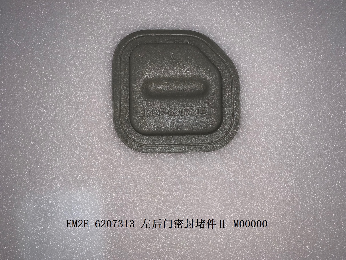 Left rear door sealing plug II