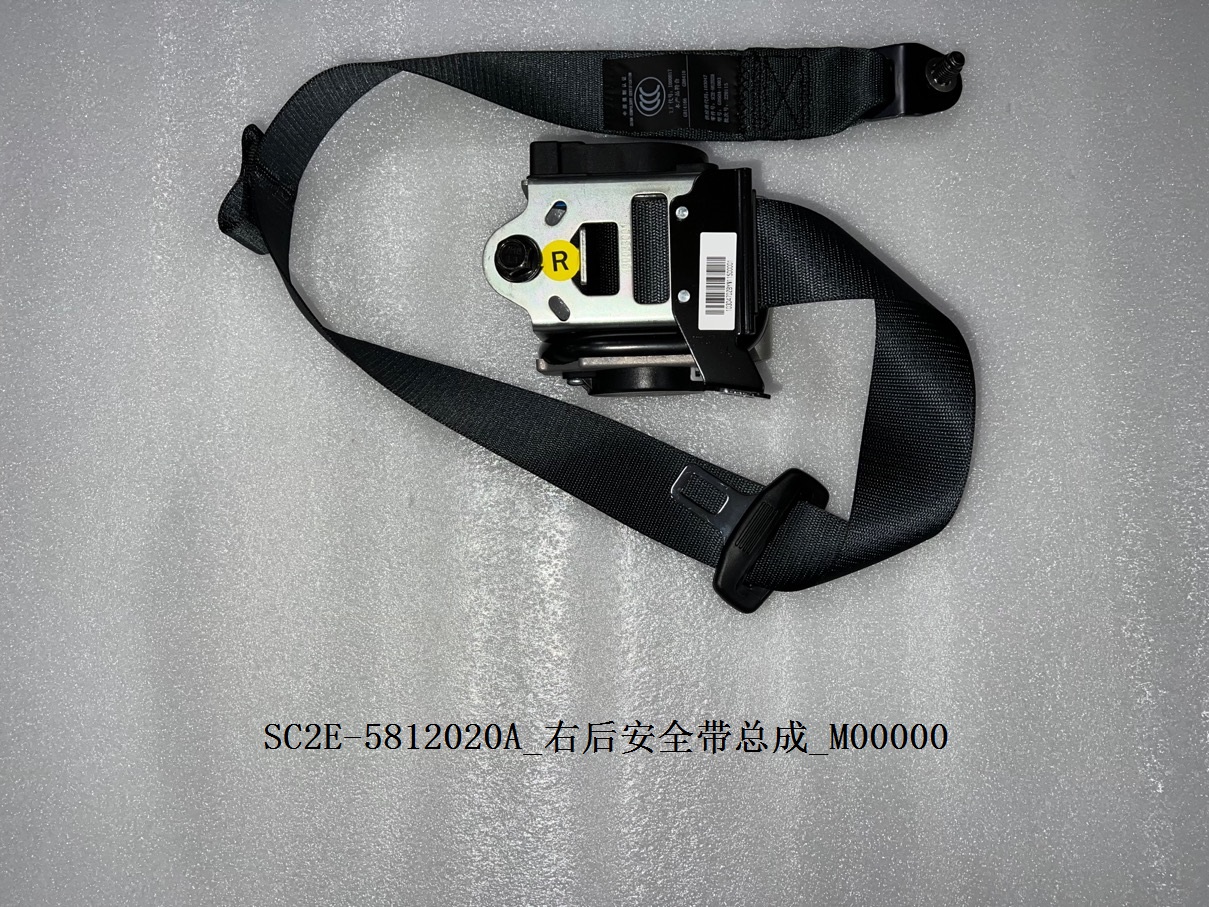 Rear Right Seat Belt Assembly
