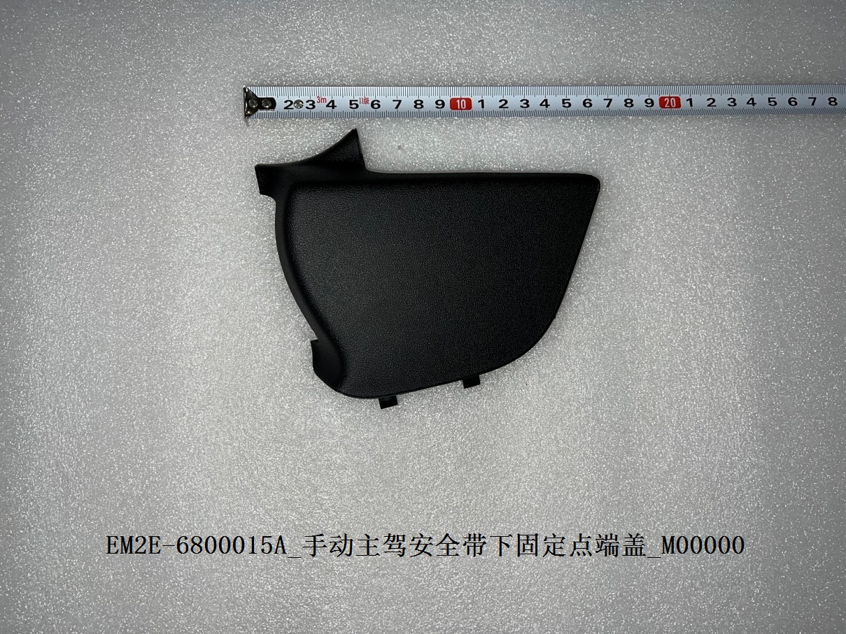 Driver Seat Belt Lower Anchor Point End Cap