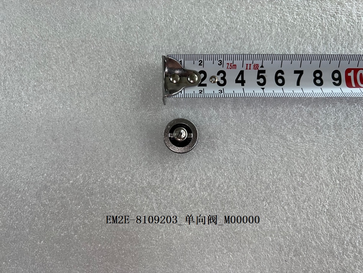 Check Valve