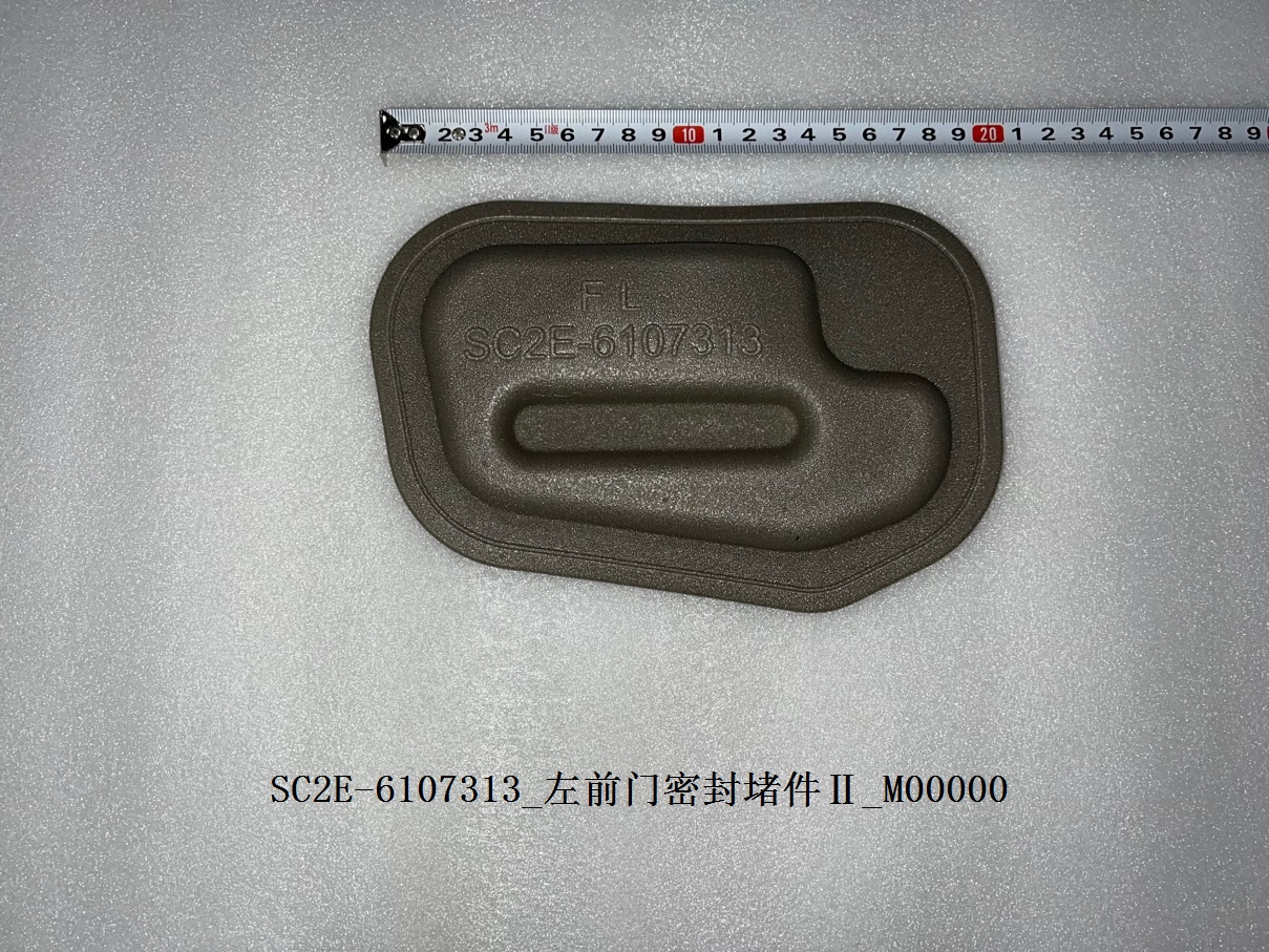 Left front door seal plug II