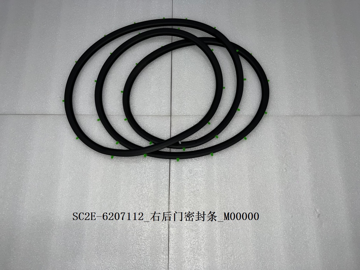 Right rear door weatherstrip