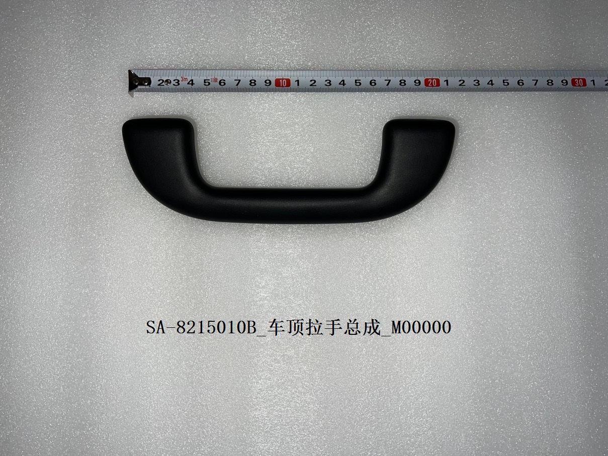 Roof Grab Handle Assembly