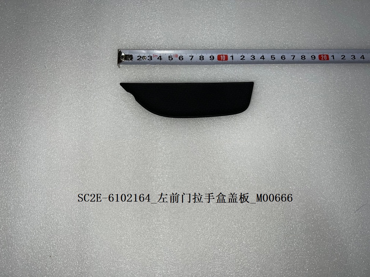 Left front door grab handle box cover