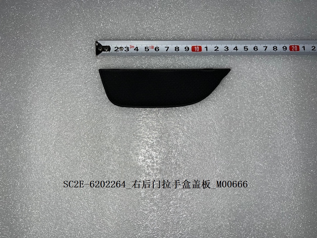 Right rear door grab handle box cover