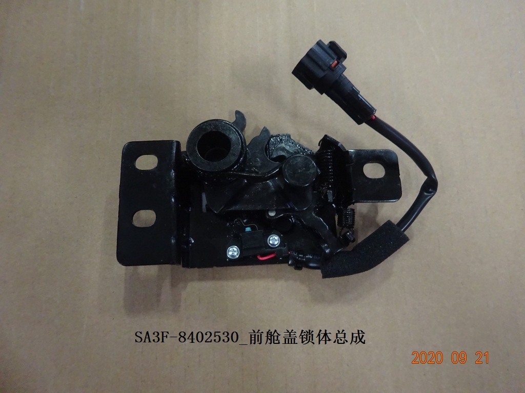 Front Hood Latch Body Assembly