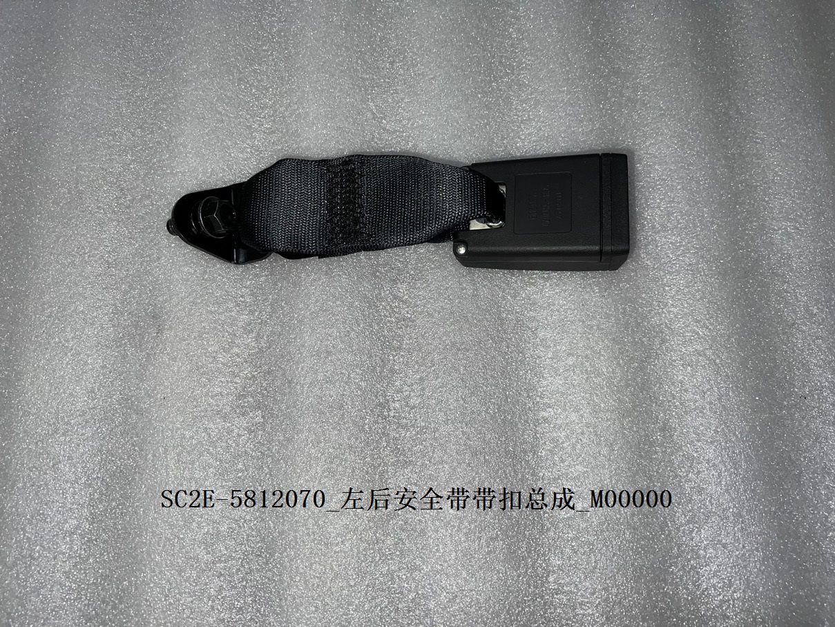 Left Rear Seat Belt Buckle Assembly