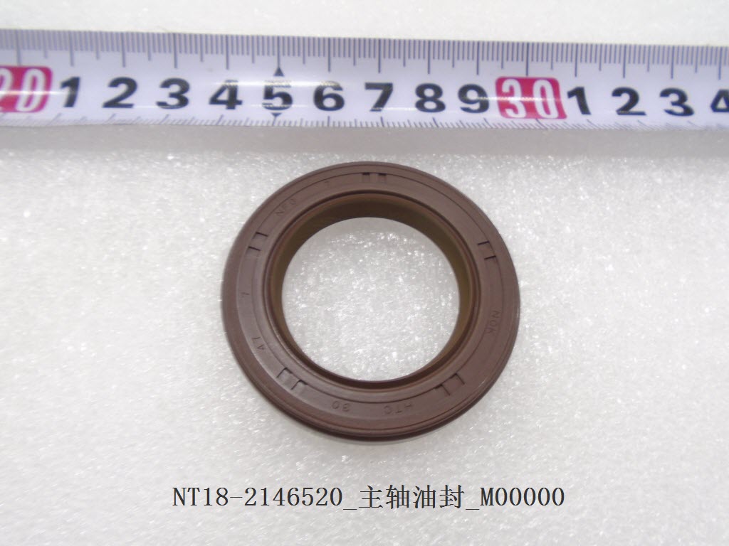 Main Shaft Oil Seal