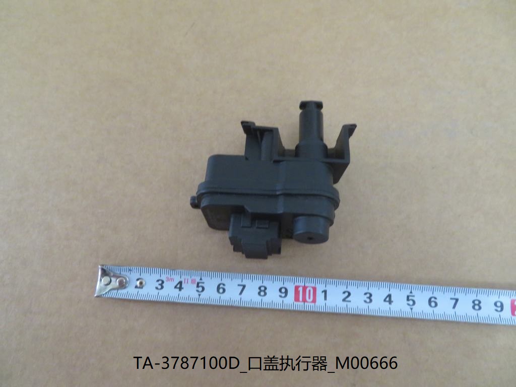 Fuel Filler Door Actuator