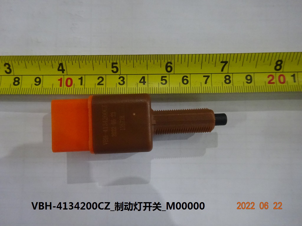 Brake Light Switch