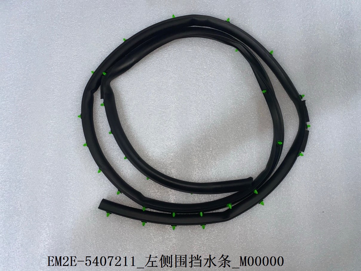 Left Bodyside Water Deflector Strip