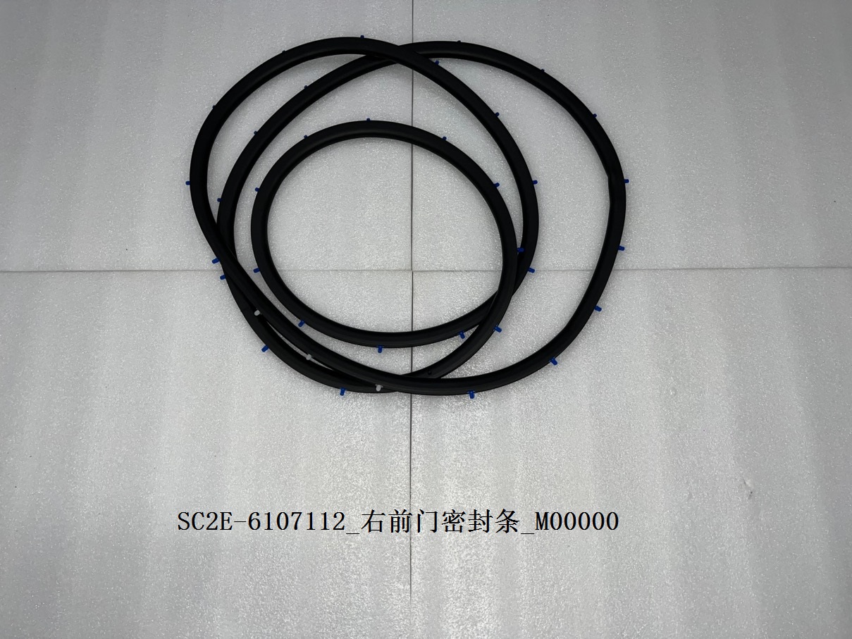Right front door weatherstrip