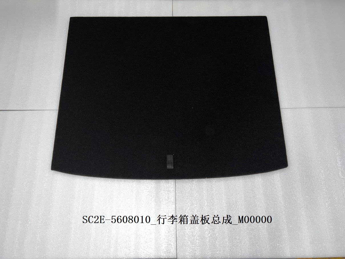 Trunk Lid Panel Assembly