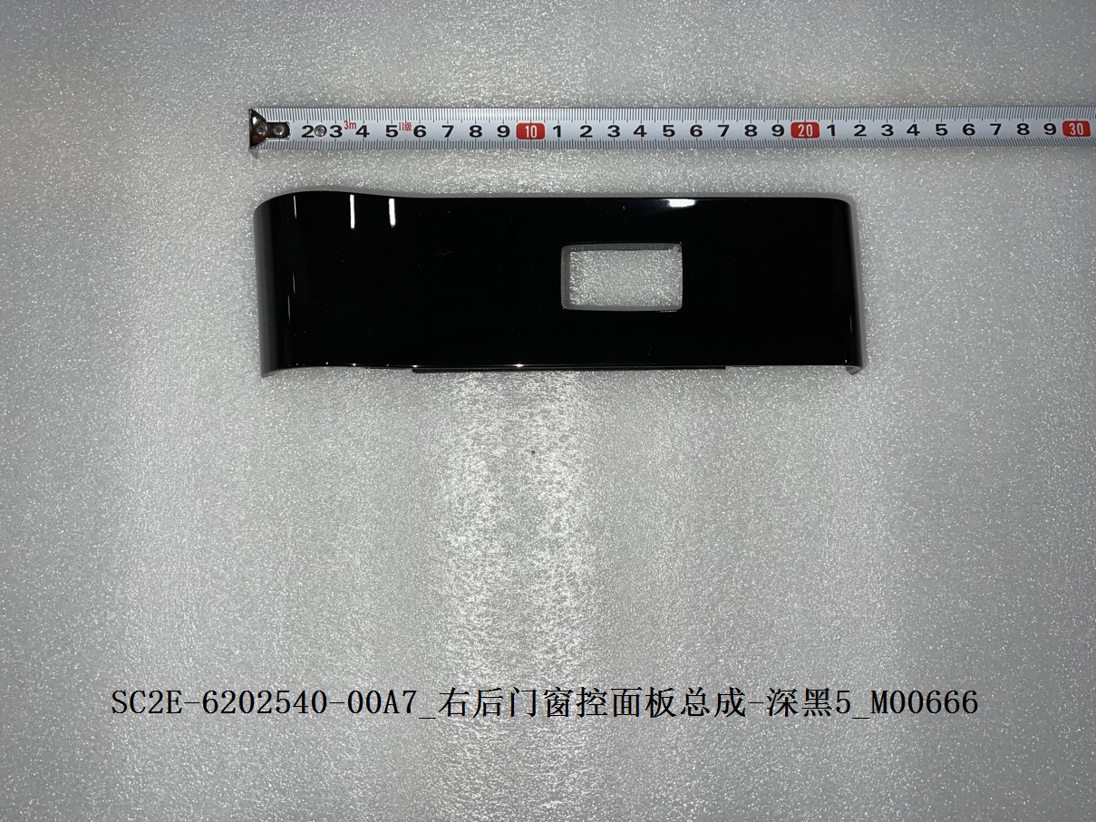 Right rear door window control panel assembly - Deep Black 5